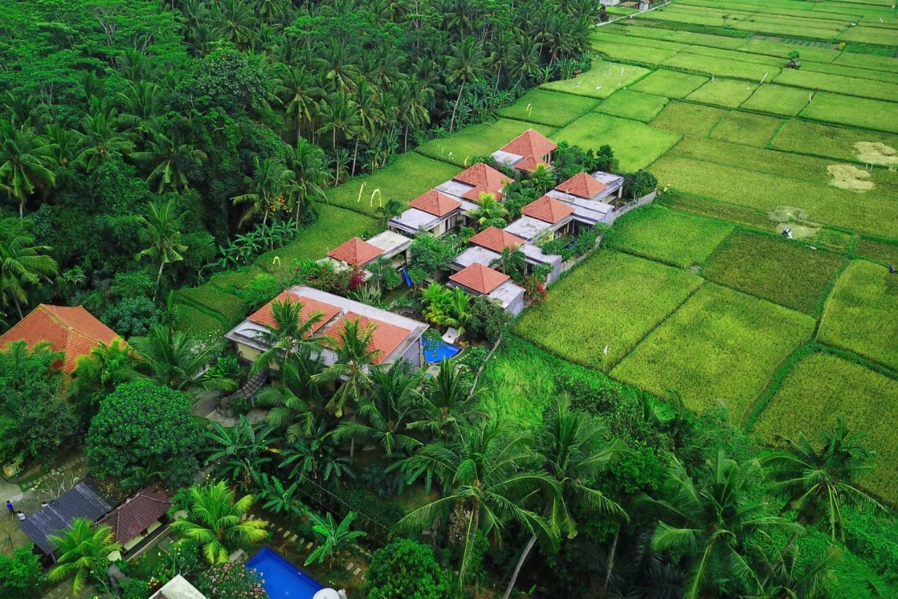 Asri Sari Ubud Villa & Resort מראה חיצוני תמונה